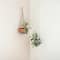 Hello Honey® 57" Natural Cotton Macrame Plant Hanger